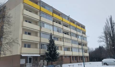 Sale Single studio, Single studio, Vrbovská cesta, Piešťany, Slovakia