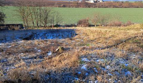 Sale Land – for living, Land – for living, Hlavná, Nitra, Slovakia