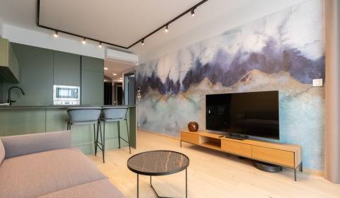 Furnished 1-bedroom flat with parking, Old Town