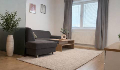 Rent Two bedroom apartment, Two bedroom apartment, Agátova, Ilava, Slo