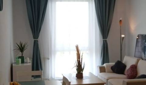 Rent One bedroom apartment, One bedroom apartment, Agátová, Senec, Slo