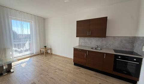 Rent One bedroom apartment, One bedroom apartment, Agátová, Senec, Slo