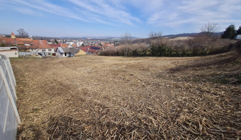 Sale Land – for living, Land – for living, Poľná, Piešťany, Slovakia