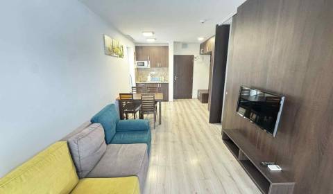Sale One bedroom apartment, One bedroom apartment, PodhájskaMg, Nové Z