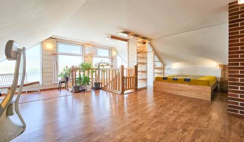 Sale Family house, Family house, Gucmanova, Hlohovec, Slovakia