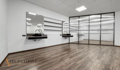 Rent Commercial premises, Commercial premises, Škultétyho, Topoľčany, 