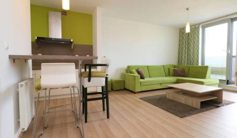 NUERA︱CUBICON - 1 bedroom apartment for rent with parking, Karlova Ves