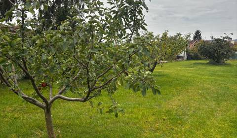 Sale Land – for living, Land – for living, Kupeckého, Pezinok, Slovaki