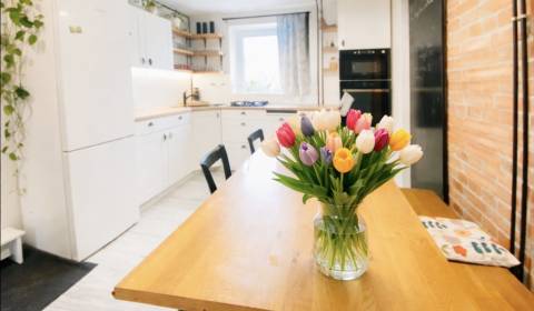 Rent One bedroom apartment, One bedroom apartment, Jesenná, Košice - S