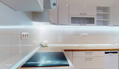 Rent One bedroom apartment, One bedroom apartment, Lúčky, Skalica, Slo