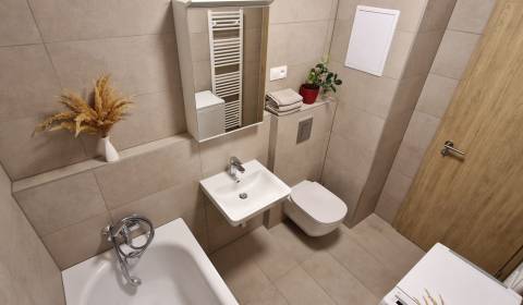 Rent One bedroom apartment, One bedroom apartment, Hlavná, Trnava, Slo