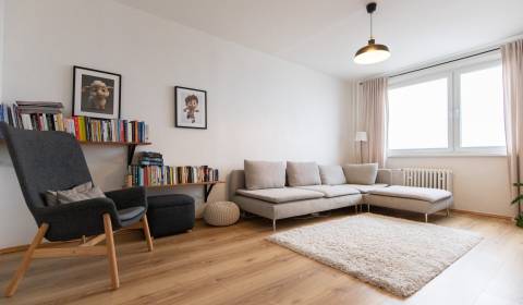 Bright 2-bedroom flat with views, Petržalka