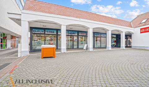 Rent Commercial premises, Commercial premises, Námestie Armina Vambery