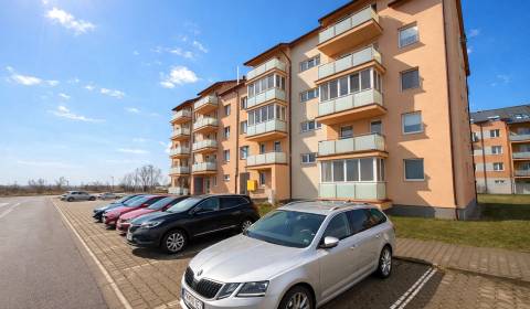 Sale Studio, Studio, Muškátová, Pezinok, Slovakia