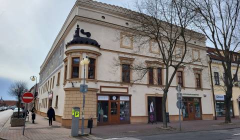 Rent Offices, Offices, Radničné námestie, Pezinok, Slovakia
