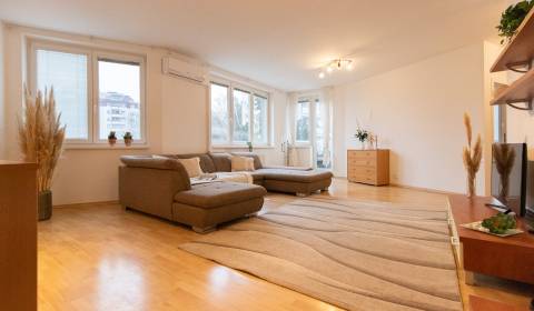 Spacious 2-bedroom flat with loggia, Slávičie údolie