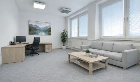 Rent Offices, Offices, Brnianska, Trenčín, Slovakia