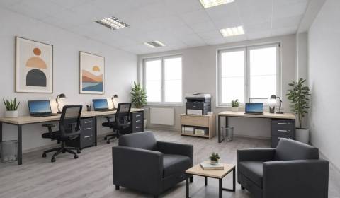 Rent Offices, Offices, Brnianska, Trenčín, Slovakia