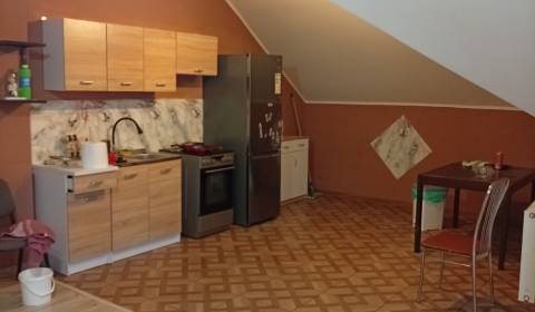 Sale Family house, Family house, Hlavná, Šaľa, Slovakia