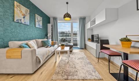 Sale Studio, Studio, Zuzany Chalupovej, Bratislava - Petržalka, Slovak