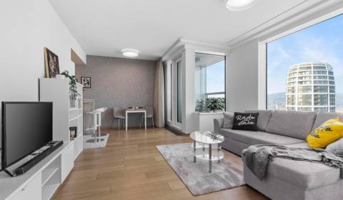 Sale One bedroom apartment, One bedroom apartment, Landererova, Bratis
