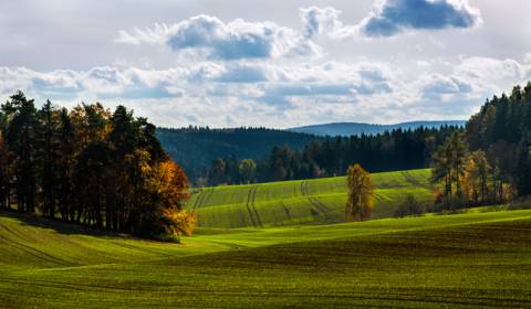 Sale Agrarian and forest land, Agrarian and forest land, Michalovce, S