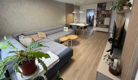 Sale Three bedroom apartment, Three bedroom apartment, Chabenecká, Ban