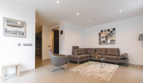 Exclusive 1-bedroom flat with terrace & parking, Kramáre