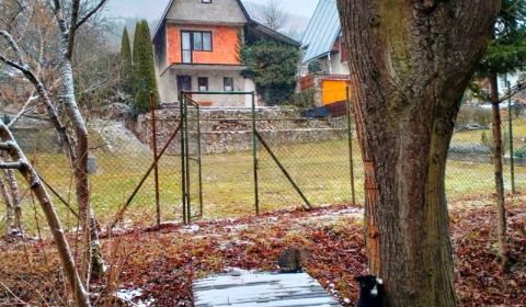 Sale Cottage, Cottage, Ilava, Slovakia