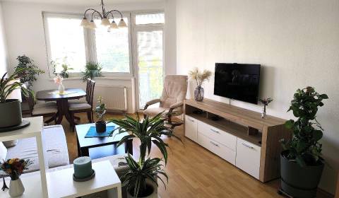 Rent One bedroom apartment, One bedroom apartment, Jégeho, Bratislava 