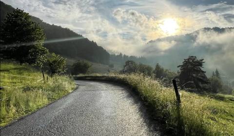 Sale Agrarian and forest land, Agrarian and forest land, Banská Bystri