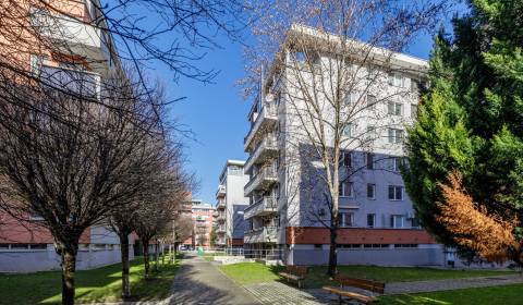 Sale Three bedroom apartment, Three bedroom apartment, Na križovatkách