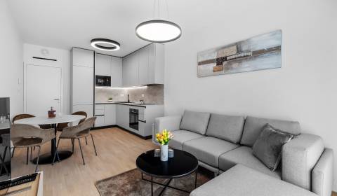 Rent One bedroom apartment, One bedroom apartment, Bottova, Bratislava