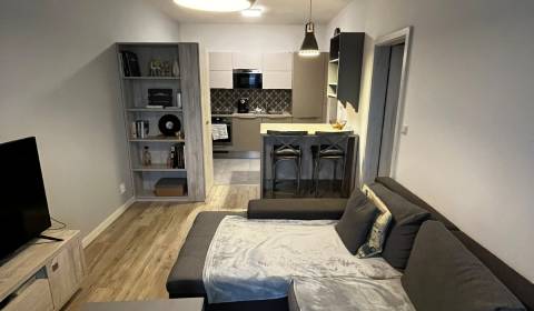 Sale One bedroom apartment, One bedroom apartment, Holubia, Senec, Slo