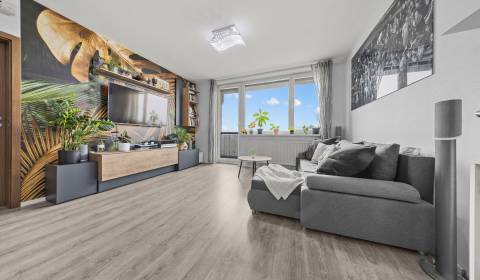 Sale One bedroom apartment, One bedroom apartment, Budatinská, Bratisl