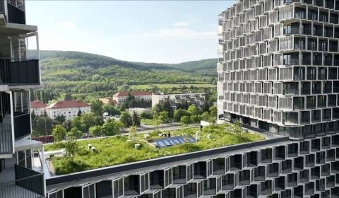 Rent One bedroom apartment, One bedroom apartment, Račianska, Bratisla