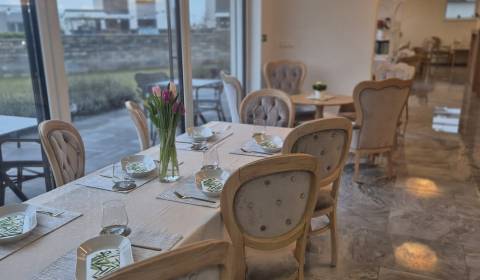 Rent Gastro premises, Gastro premises, Johna Dopyeru, Trnava, Slovakia