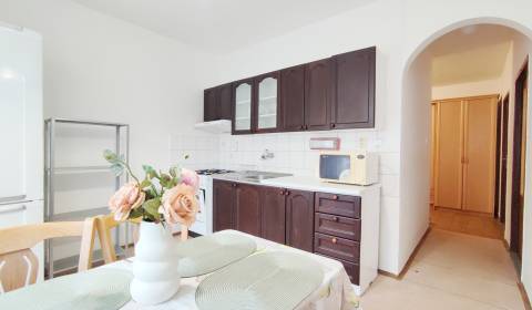 Rent One bedroom apartment, One bedroom apartment, Štvrť SNP, Trenčín,