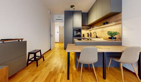 Rent One bedroom apartment, One bedroom apartment, Bottova, Bratislava