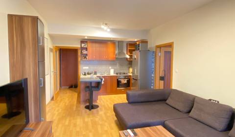 Sale One bedroom apartment, One bedroom apartment, Dlhá, Malacky, Slov