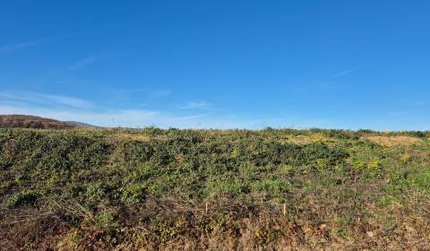Sale Land – for living, Land – for living, Zlaté Moravce, Slovakia