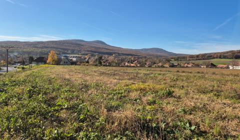 Sale Land – for living, Land – for living, Zlaté Moravce, Slovakia