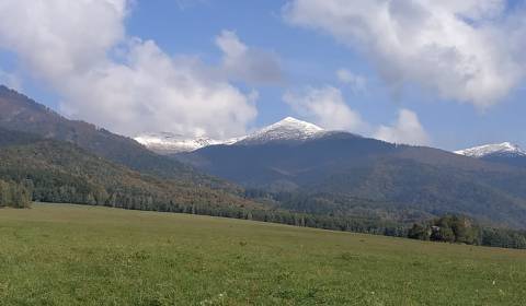 Sale Recreational land, Recreational land, Martin, Slovakia