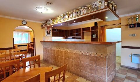 Sale Commercial premises, Commercial premises, Žiar nad Hronom, Slovak