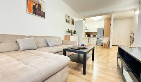 Rent One bedroom apartment, One bedroom apartment, Halalovka, Trenčín,