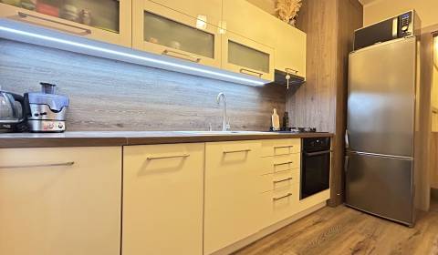 Rent One bedroom apartment, One bedroom apartment, Dadanova, Žilina, S