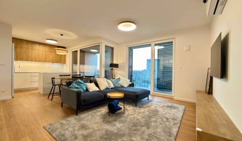 Rent Three bedroom apartment, Three bedroom apartment, Seberíniho, Bra