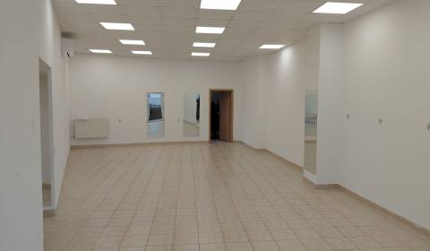 Rent Commercial premises, Commercial premises, Hálkova, Bratislava - N