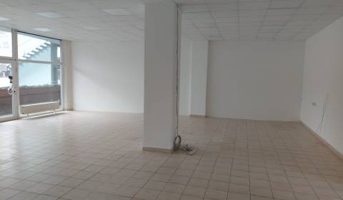 Rent Commercial premises, Commercial premises, Hálkova, Bratislava - N