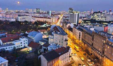 Rent One bedroom apartment, One bedroom apartment, Šancová, Bratislava